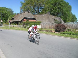 RTF Celle Rocky 81